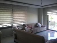 Villa Palm