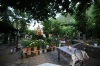 Oran Pansiyon Agac Evler