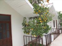 River Park Hotel Bungalows