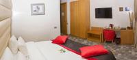 Hotel Villa Aralia