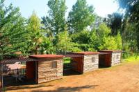 Medusa Cafe-Bar-Camping