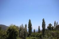 Villa Heves