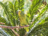 Flamingo Hotel