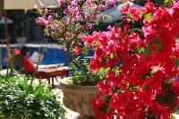 Doubletree By Hilton Bodrum Marina Vista