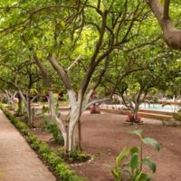 Gayb-i Bungalows By Naturelife