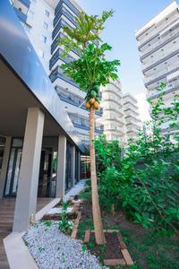 Kleopatra Tower Apart Hotel