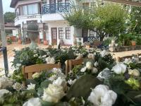 Naturella Hotel