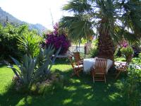 Papirus Hotel