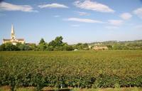 Chateau De Lantic