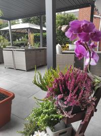 Hotel Oyten Am Markt