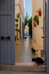 Vintage Hotel Alaçatı