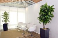Sejours & Affaires Strasbourg Kleber