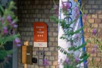 Nemea Appart Hotel Elypseo Strasbourg Port