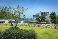 Patong Bay Hill Resort