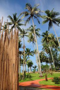 Medee Resort