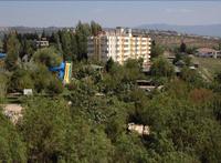 Flora Suites