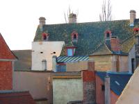 Hotel Patricia