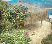Hotel Club Barbarossa
