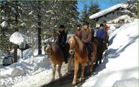 Hotel Garni Haus Alpine