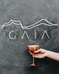 Alacati Gaia Otel