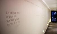 Ha Tel Des Arts