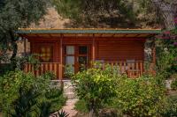 Felicity Hotel & Bungalows