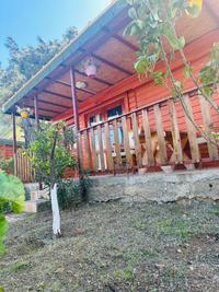 Felicity Hotel & Bungalows