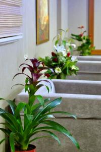 Starton Hotel & Spa
