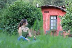 Simurg Evleri Olympos