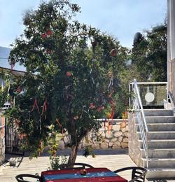 Tas Hotel Akbük