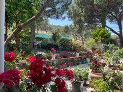 Günebakan Taliani Hotel