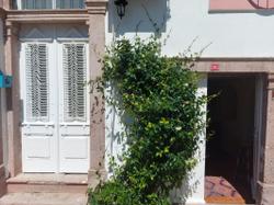 Mimosa House Ayvalik