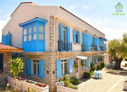 Zeytin Arası Taş Evler