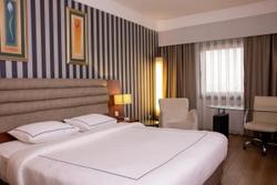 Anemon Grand Eskişehir Otel