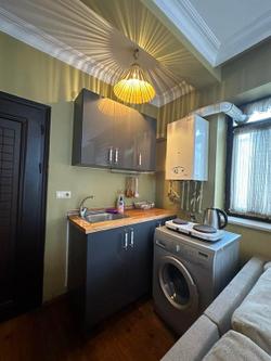 Green Bird Suites