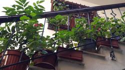 Villa Sphendone Suites