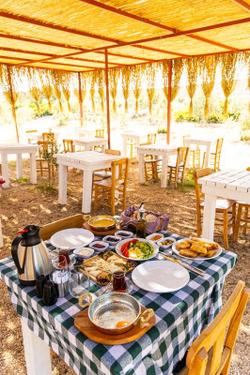 Ali Baba Ciftligi Alaçatı Adult Only