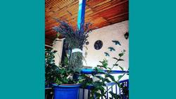 Otel B
