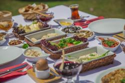 Tash Mekan Alaçatı