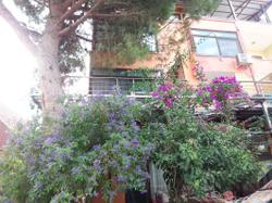 İzmir Tatil Evi