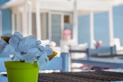 Minerva Port Hotel Çeşme
