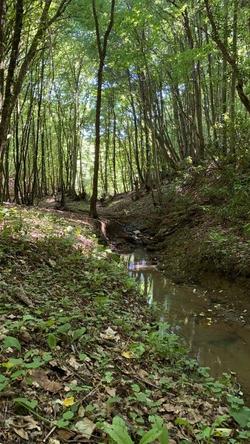 Narkoy Ecologic Hotel & Organic Farm