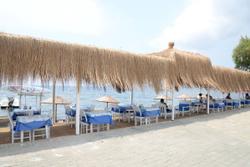Taşev