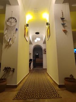 The Professor's Hotel