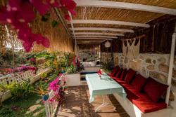Begonvilla Bungalows