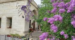 Armesos Cave Hotel