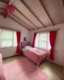 Sapanca Pink House
