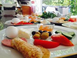 Hotel Nisa