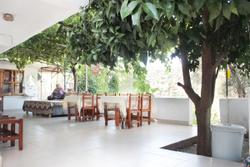 Patara Doğa Apart