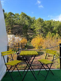 Evergreen Glamping